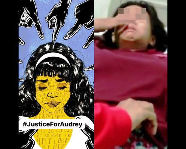 DPP HMPI Bereaksi Atas Kasus Bullying Audrey