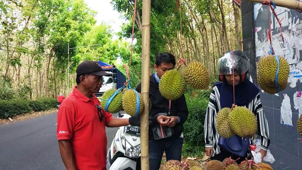 Mulai Musim, Hemm...!! Enaknya Durian Bajol Khas Senduro-Lumajang