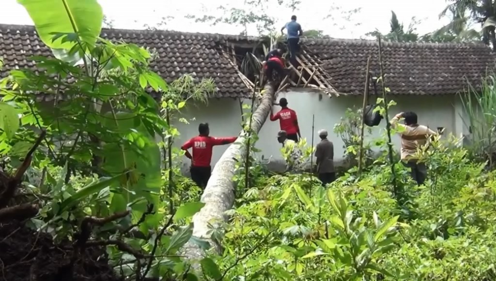 Tertimpa Pohon Kelapa, Atap Rumah Warga di Desa Bodang Rusak
