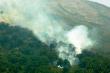 Sepuluh Hektar Hutan Taman Nasional Bromo Tengger Semeru Terbakar