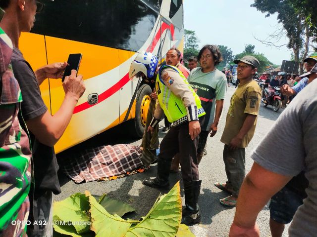 Sepeda Motor Tabrak Bus di Ranuyoso Lumajang, Satu Orang Meninggal 