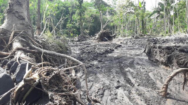 Penjarahan Hutan, Picu Longsor Besar di Lereng Gunung Lemongan