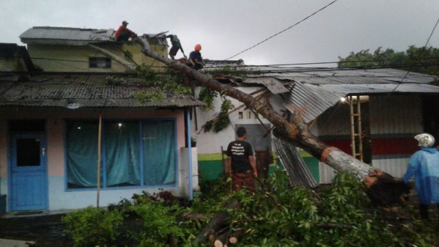 Puting Beliung Tumbangkan Pohon dan Rusak Rumah Warga Lumajang