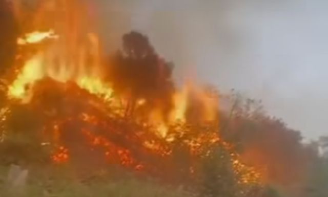 Api Sempat Berkobar Hebat di Tepi Jalan Menuju Desa Argosari Lumajang