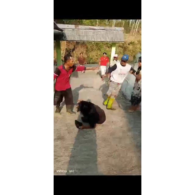 Video Viral Remaja Babak Belur di Tuduh Curi Daun Tebu di Lumajang
