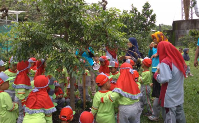 Kebun Buah Nusantara, Wisata Edukasi Alas Semeru di Lumajang