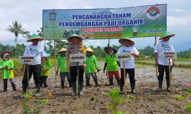 DPRD Lumajang Dukung Pemerintah Kembangkan Pertanian Organik