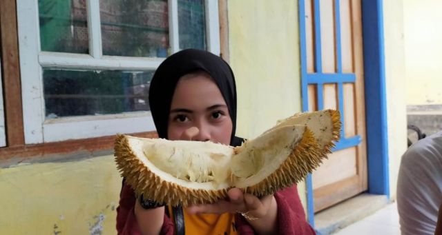 Rasa Tak Begitu Nikmat Pengunjung Tetap Antusias Serbu Durian Lumajang