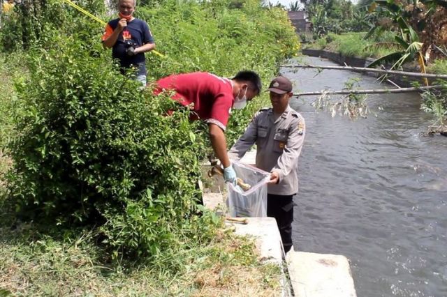 Heboh, Penemuan Tulang Belulang di Sungai Belem Lumajang
