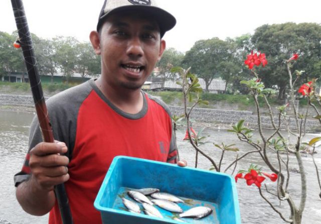 Kali Asem Tengah Kota Lumajang Mulai Bersih dan Banyak Ikannya