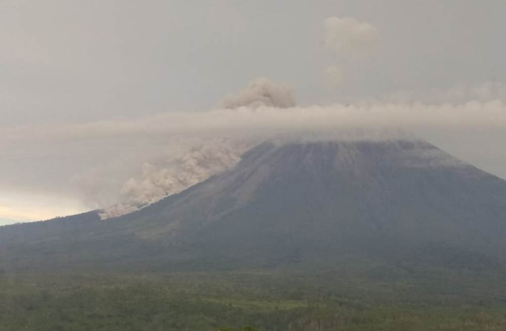 Gunung Semeru Lumajang Semburkan Awan Panas Sejauh Seribu Meter